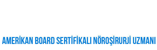 PROFESÖR Dr MEHMET ÇAĞLAR BERK-light