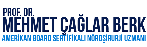 PROFESÖR DR MEHMET ÇAĞLAR BERK